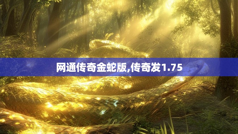 网通传奇金蛇版,传奇发1.75