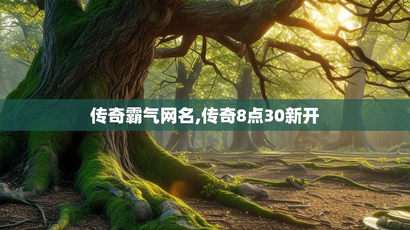 传奇霸气网名,传奇8点30新开
