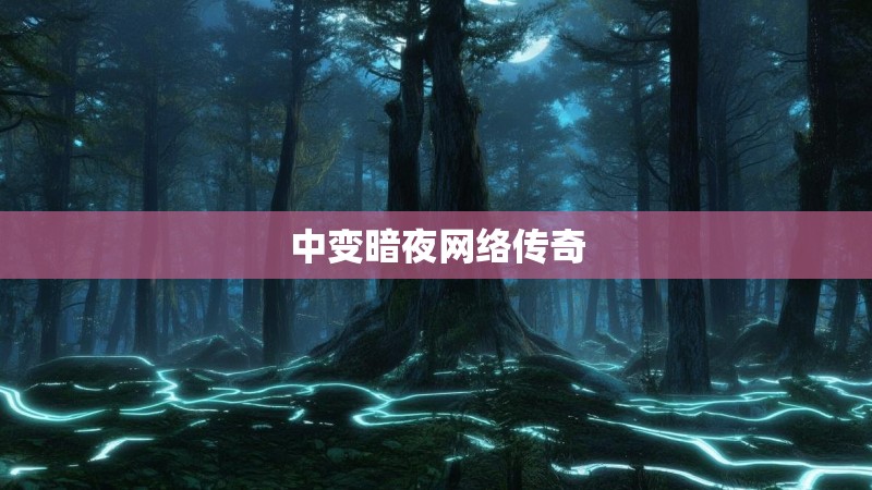中变暗夜网络传奇