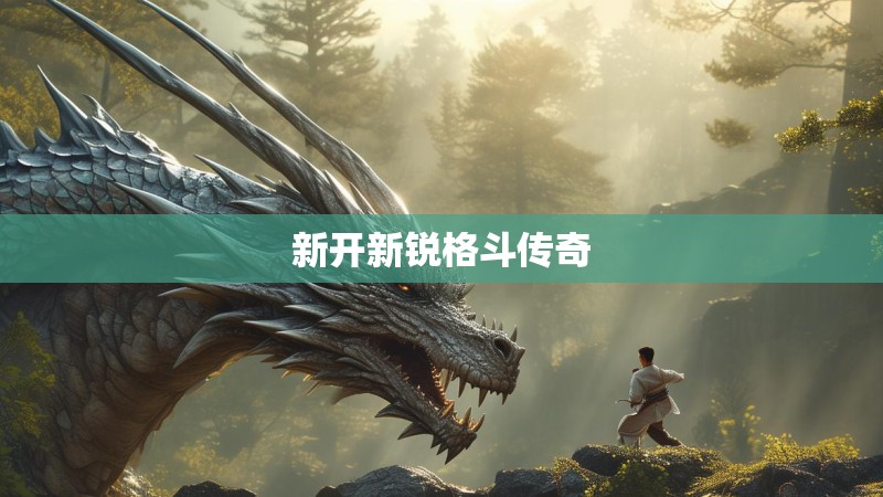新开新锐格斗传奇