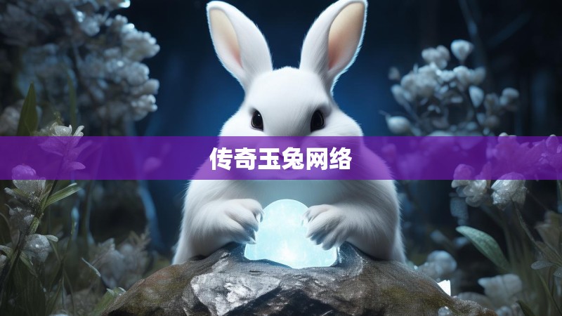 传奇玉兔网络
