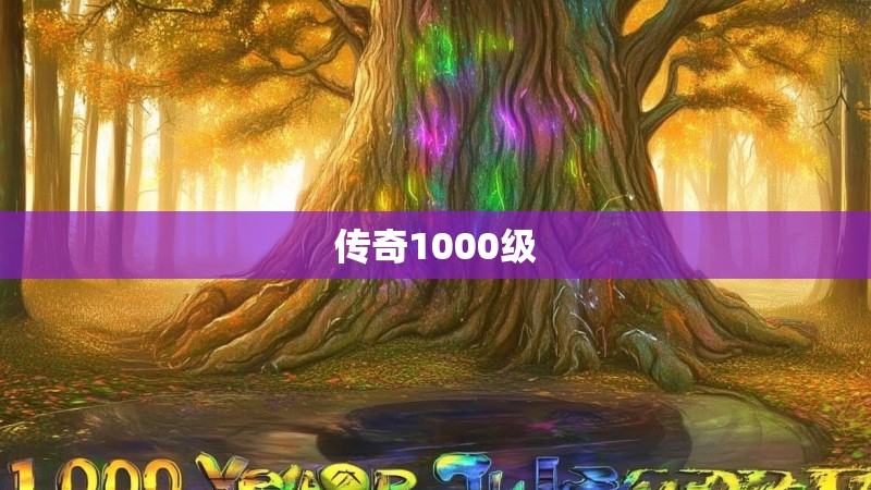 传奇1000级