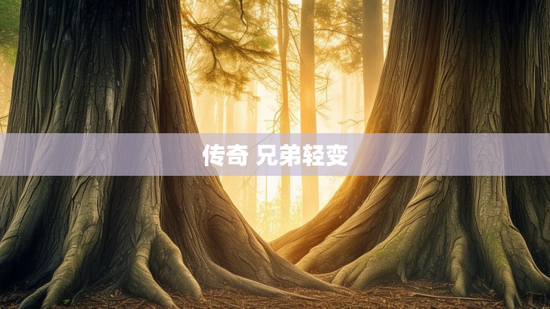 传奇 兄弟轻变
