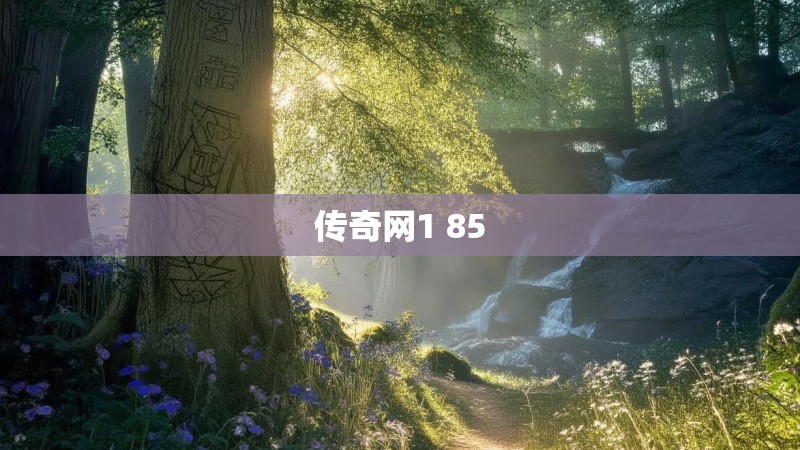 传奇网1 85