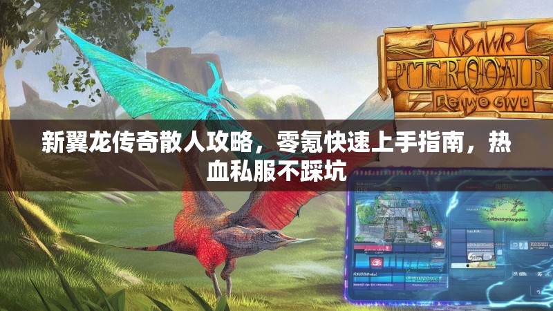 新翼龙传奇散人攻略，零氪快速上手指南，热血私服不踩坑