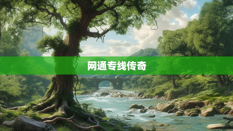 网通专线传奇