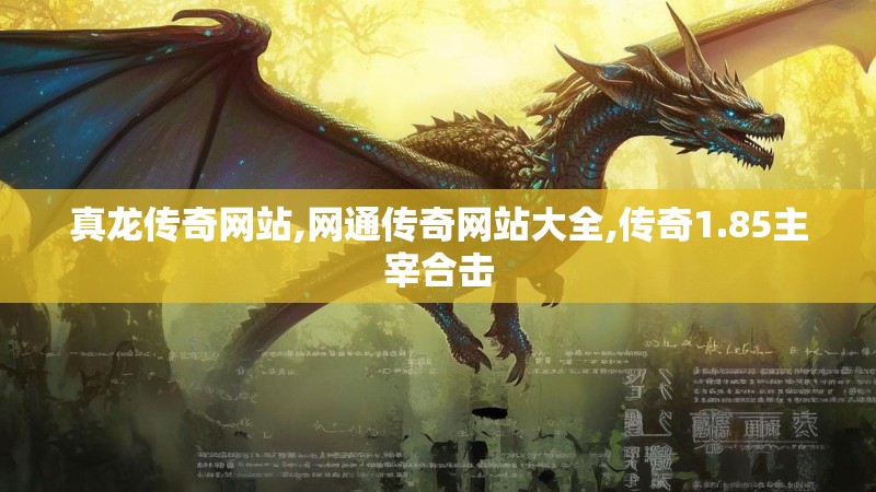 真龙传奇网站,网通传奇网站大全,传奇1.85主宰合击