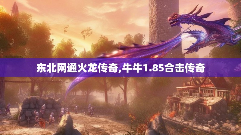 东北网通火龙传奇,牛牛1.85合击传奇