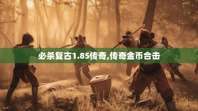 必杀复古1.85传奇,传奇金币合击