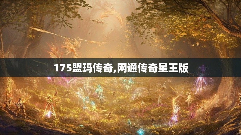175盟玛传奇,网通传奇星王版