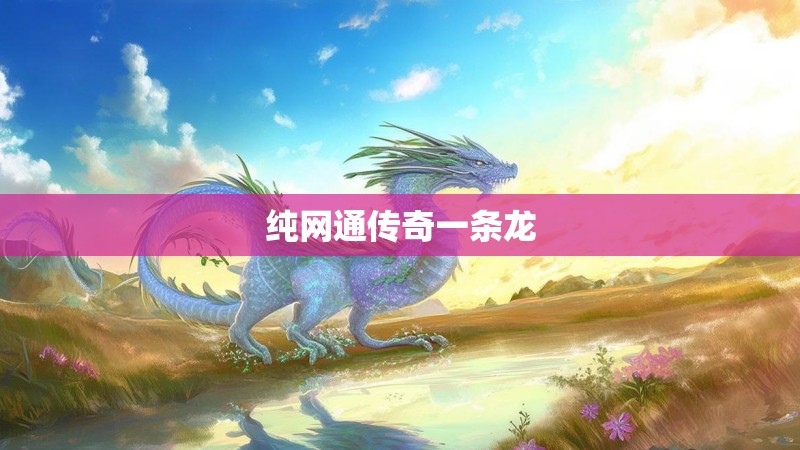纯网通传奇一条龙