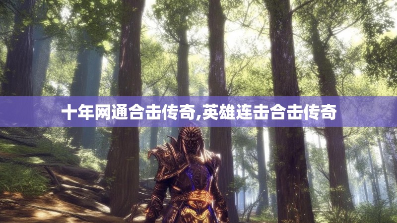 十年网通合击传奇,英雄连击合击传奇