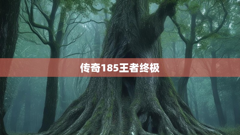 传奇185王者终极
