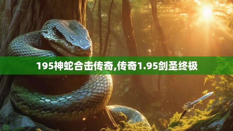 195神蛇合击传奇,传奇1.95剑圣终极