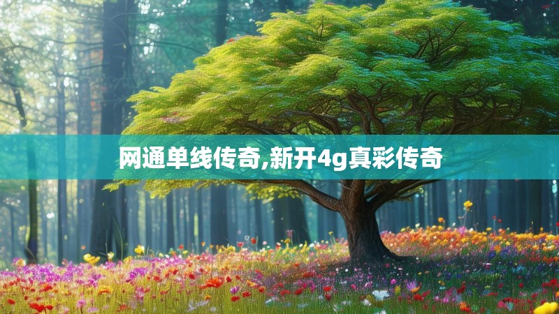 网通单线传奇,新开4g真彩传奇