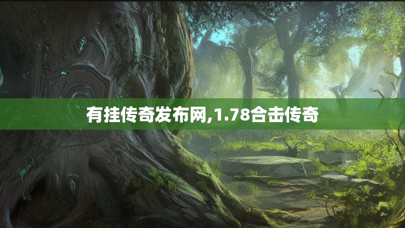 有挂传奇发布网,1.78合击传奇