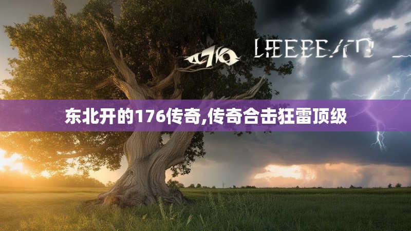 东北开的176传奇,传奇合击狂雷顶级