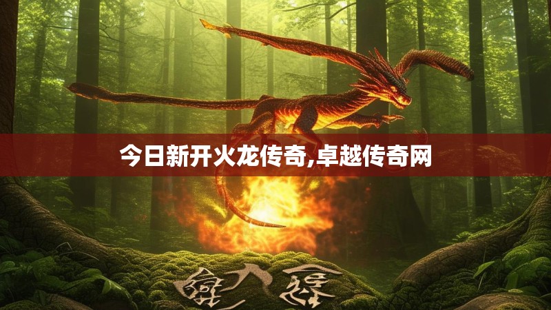 今日新开火龙传奇,卓越传奇网