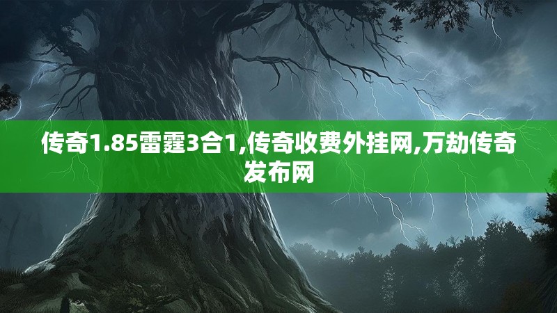 传奇1.85雷霆3合1,传奇收费外挂网,万劫传奇发布网