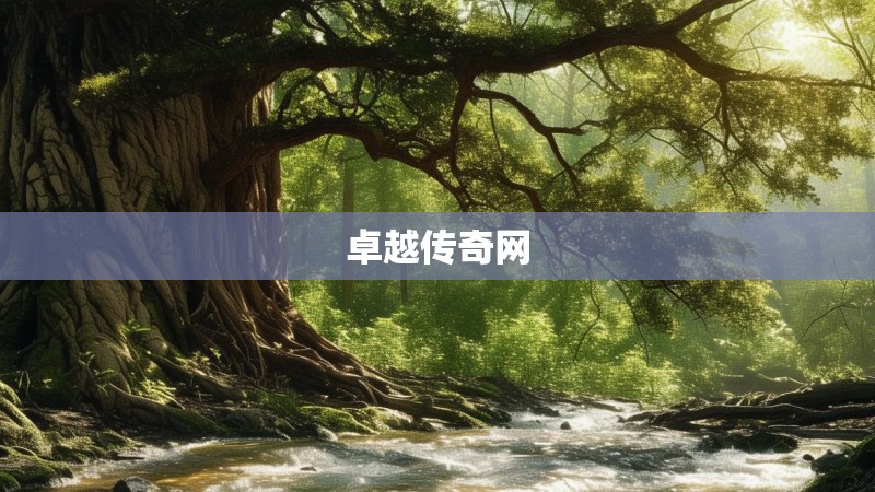 卓越传奇网