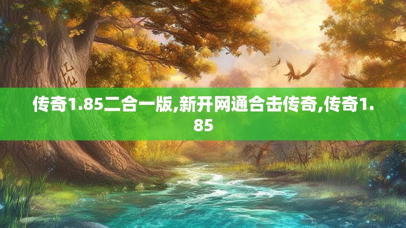 传奇1.85二合一版,新开网通合击传奇,传奇1.85