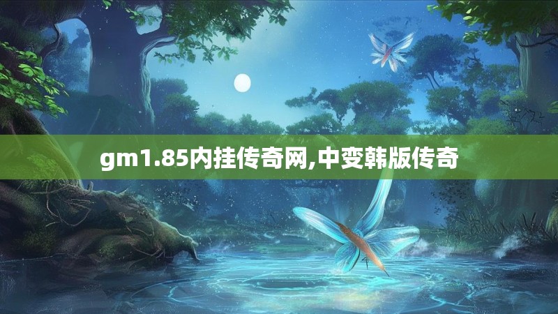gm1.85内挂传奇网,中变韩版传奇