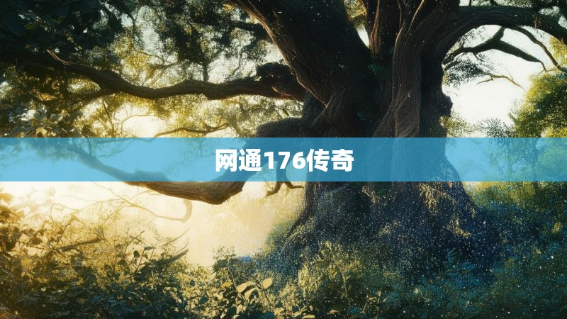 网通176传奇