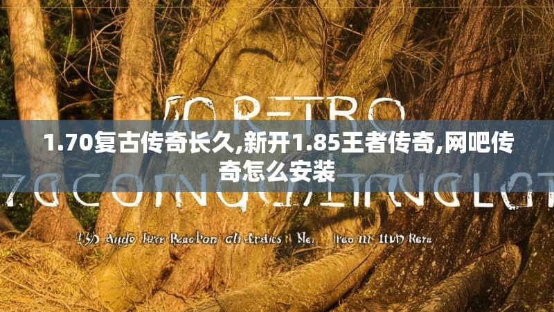 1.70复古传奇长久,新开1.85王者传奇,网吧传奇怎么安装