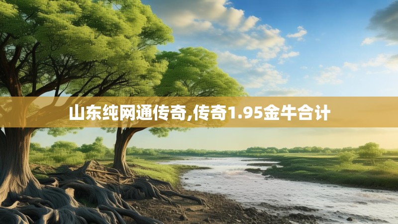 山东纯网通传奇,传奇1.95金牛合计