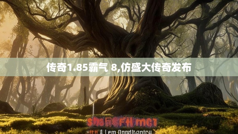 传奇1.85霸气 8,仿盛大传奇发布