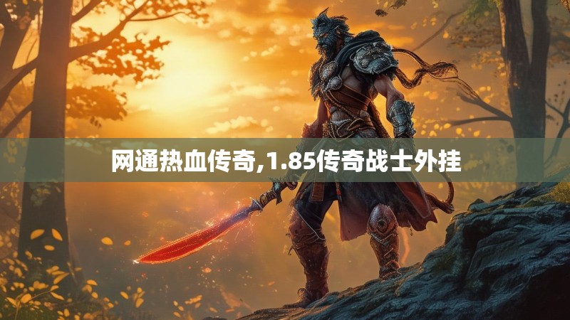 网通热血传奇,1.85传奇战士外挂