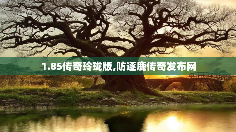 1.85传奇玲珑版,防逐鹿传奇发布网