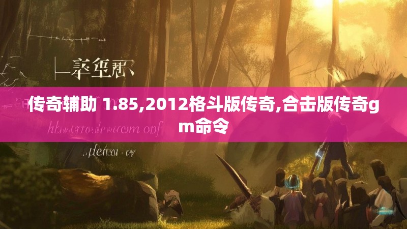 传奇辅助 1.85,2012格斗版传奇,合击版传奇gm命令