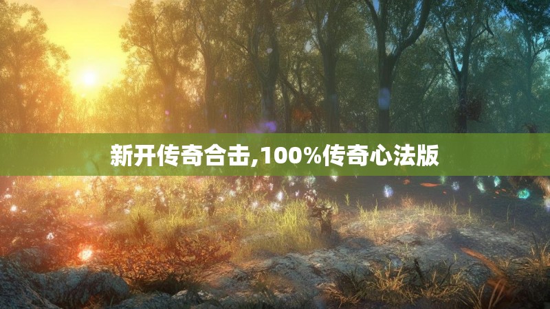 新开传奇合击,100%传奇心法版
