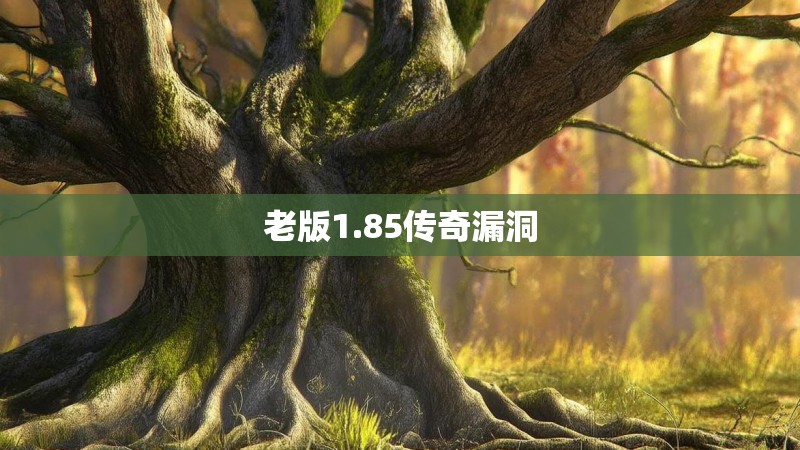 老版1.85传奇漏洞