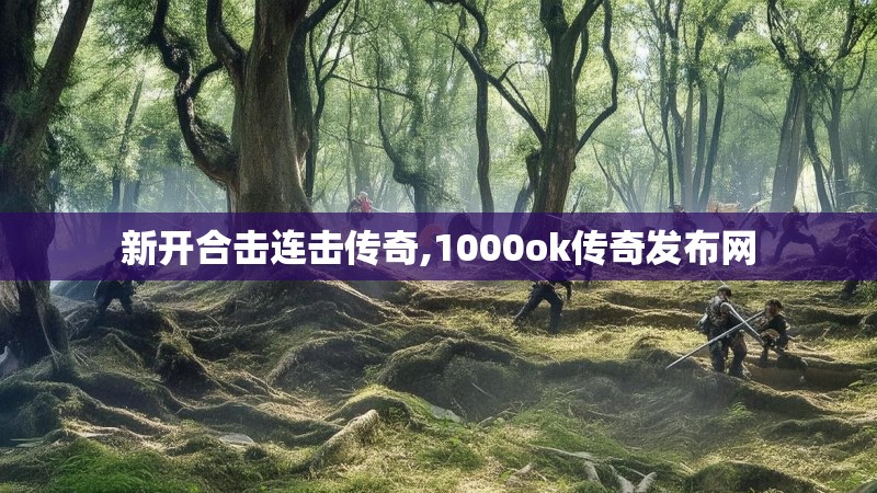 新开合击连击传奇,1000ok传奇发布网