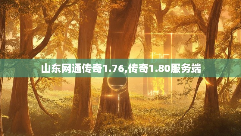 山东网通传奇1.76,传奇1.80服务端