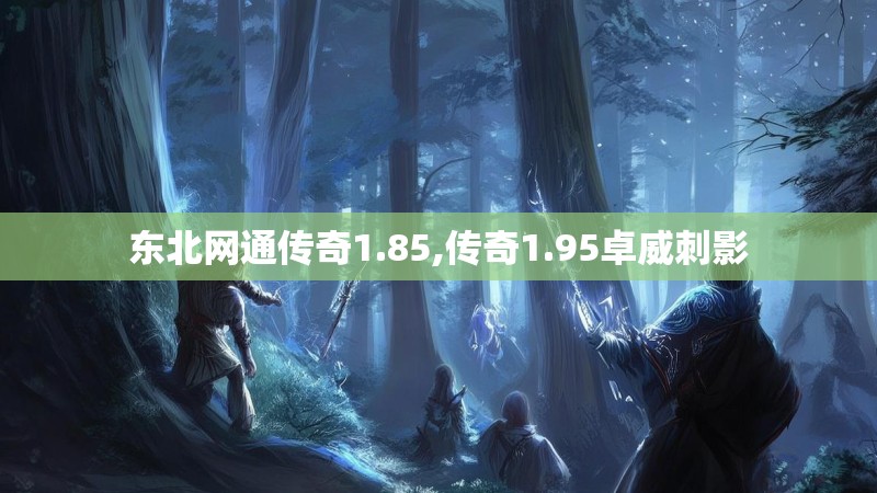 东北网通传奇1.85,传奇1.95卓威刺影