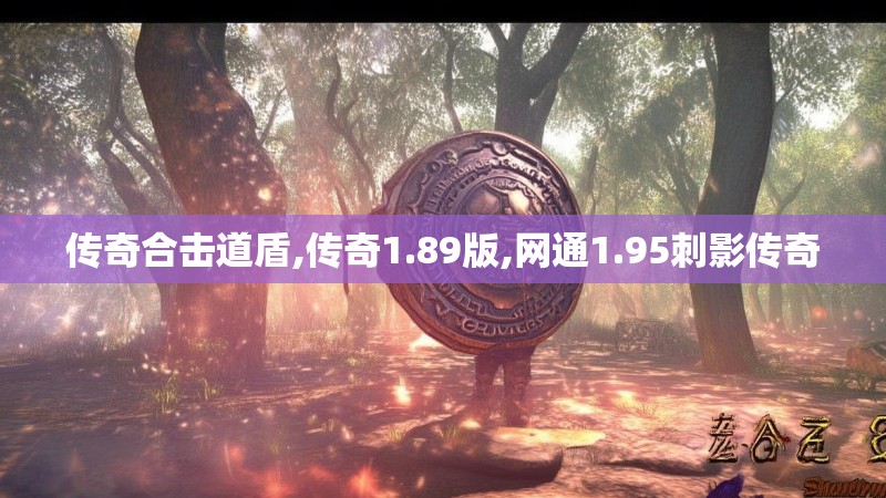 传奇合击道盾,传奇1.89版,网通1.95刺影传奇