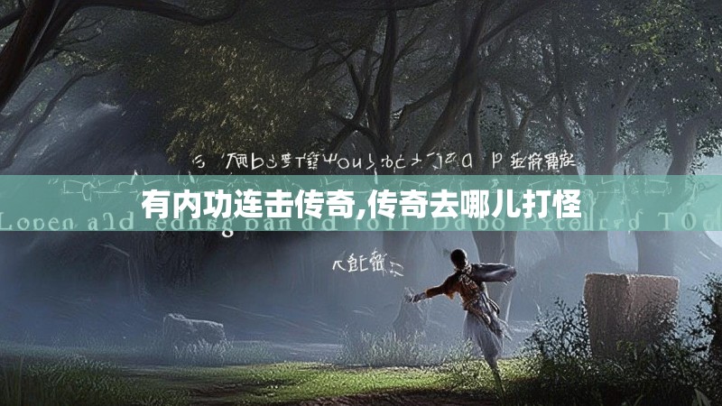 有内功连击传奇,传奇去哪儿打怪