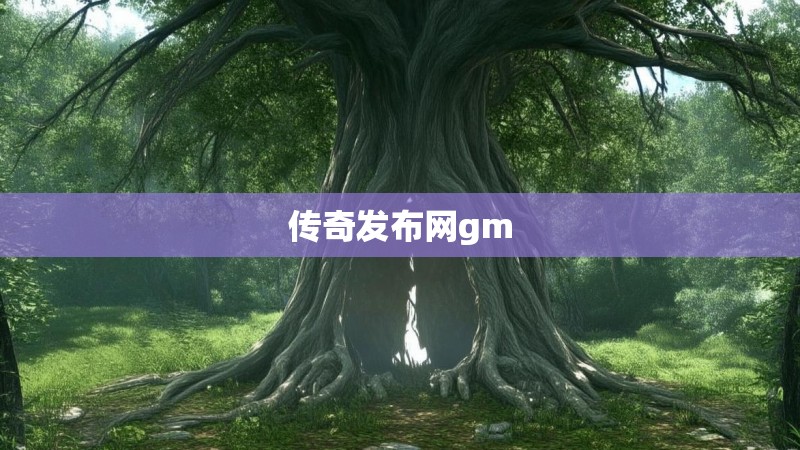 传奇发布网gm