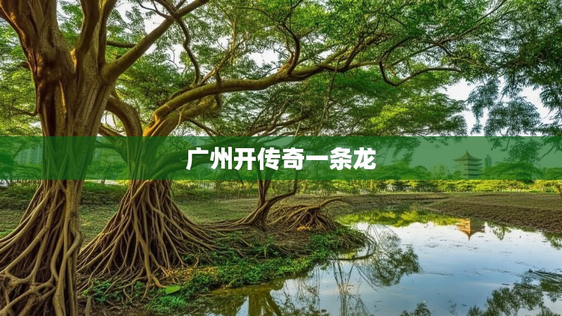 广州开传奇一条龙