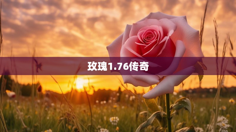玫瑰1.76传奇
