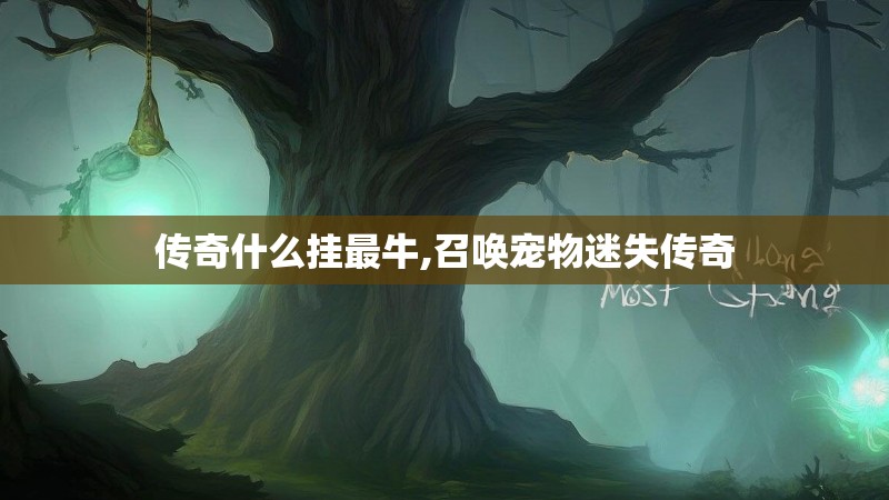 传奇什么挂最牛,召唤宠物迷失传奇