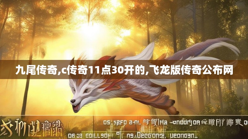 九尾传奇,c传奇11点30开的,飞龙版传奇公布网