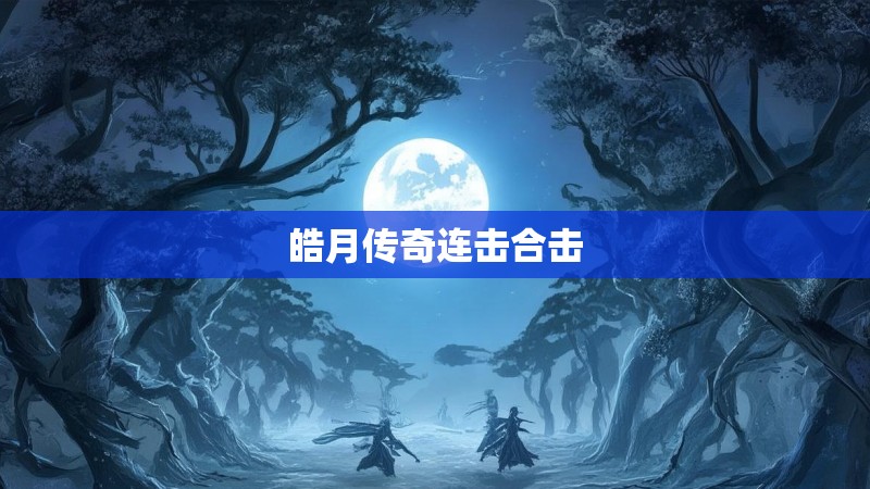 皓月传奇连击合击