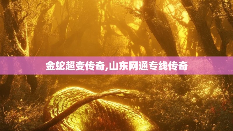 金蛇超变传奇,山东网通专线传奇