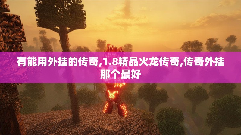 有能用外挂的传奇,1.8精品火龙传奇,传奇外挂那个最好