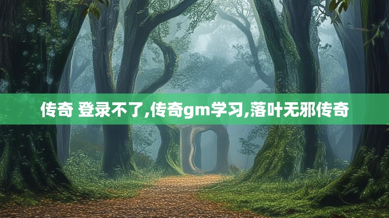 传奇 登录不了,传奇gm学习,落叶无邪传奇