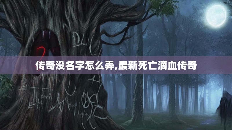 传奇没名字怎么弄,最新死亡滴血传奇